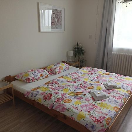 Ubytovani V Rodinnem Dome Ostopovice Kültér fotó